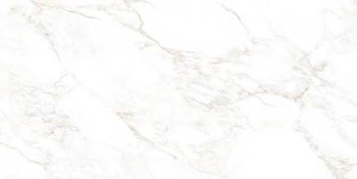 Керамогранит NT Ceramic Marmo Marble Extra Endless 60x120 NTT99526M