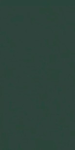 Керамогранит Cerim Crayons Moss Matte 120x240 767240