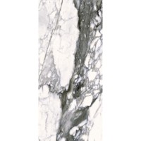 Керамогранит Roberto Cavalli The Wild Spirit Calacatta Renoir Lx Rt 59.6x119.2 500867