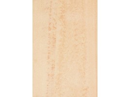 Texture (Venatto)