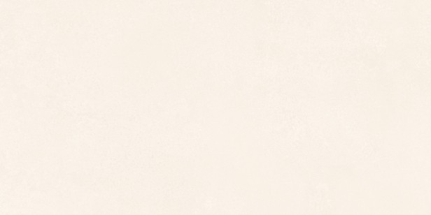 Керамогранит Neodom Loft Danos Bianco Carving 60x120 N20639