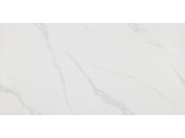 Gloss Porcelain (CSG)