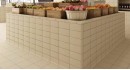Керамогранит Exagres Proyect Rojo Base 24 Ref.721 24.5x24.5