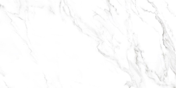 Керамогранит AVA Ceramica Statuario Nat Rett 60x120 83064