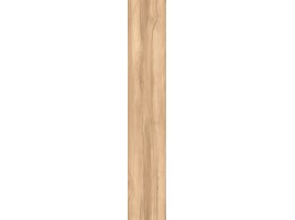 Fossil Wood (Creanza)
