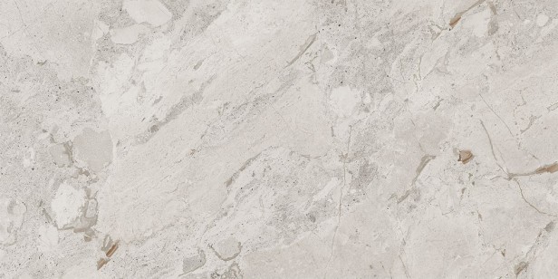 Керамогранит Cerdomus Karnis Silver Levigato 60x120 93523