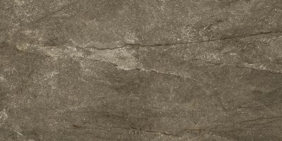 Керамогранит Pamesa Ceramica Wells Cr. M Moka Mate Rectificado 60x120 017.869.0240.09871