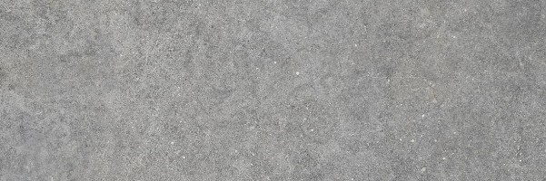 Керамогранит La Fabbrica Jungle Stone Silver Lap Ret 10x30 154036