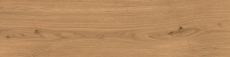 Керамогранит Atlas Concorde Italy Log Amber Oak Forest 20mm 30x120 AX4C Керамогранит Atlas Concorde Italy Log Amber Oak Forest 20mm 30x120 AX4C