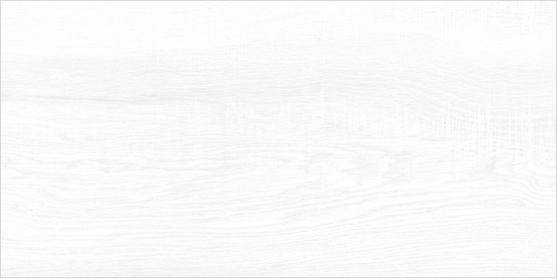 Плитка AltaCera Briole White 24.9x50 настенная WT9BRE00