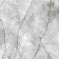 Керамогранит Orient Ceramic Passion Ice Матовый 60x60 524 Керамогранит Orient Ceramic Passion Ice Матовый 60x60 524