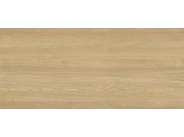 Cadore Arce (Xlight)