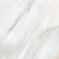Керамогранит ProGRES Ceramica Ego серый светлый, глазурованная матовый 60x60 NR0022-M
