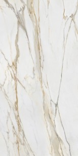 Calacatta Gold Gloss Polished