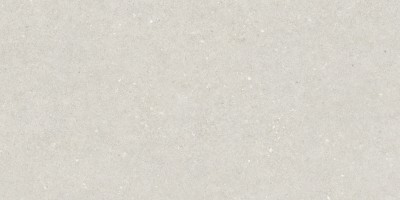 Плитка Ape Ceramica Greystone Essence White Rect 60x120 настенная A042746