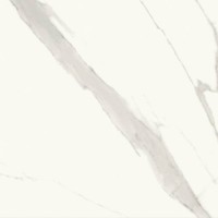 Керамогранит Ricchetti Ceramiche Marble Boutique Statuario White Lux Ret 59.4x59.4 0541552