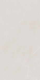 Керамогранит Protiles Alicante Light Grey 60x120 PT12F7046