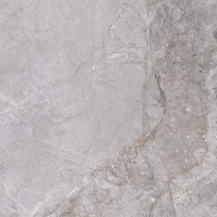 Керамогранит Steppe Ceramics Fior Di Bosco Grey неполированный 60x60 FI006060N