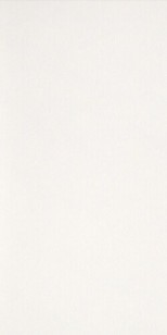 Керамогранит Casalgrande Padana Marmoker Canova Lucido 9mm 60x120 2720231