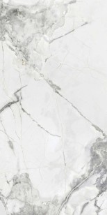 Керамогранит Artcer Marble SVPL 6050 Poli 60x120