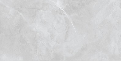 Керамогранит Bonton Ceramica Alcor Silver Matt 60x120 Керамогранит Bonton Ceramica Alcor Silver Matt 60x120