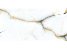 VanHong VanHong