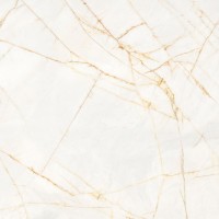 Керамогранит Flaviker Supreme Hedonism Gold Spider Nat Rett 120x120 PF60017512