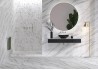 Керамогранит Embito Granito Atlanta White Silver Glossy Carving Ss 60x120