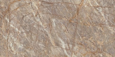 Керамогранит Atlas Concorde Italy Marvel Epic Natural Roots Lappato 60x120 HEIK