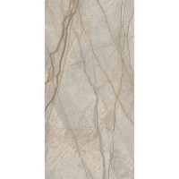 Stellaris Elegant Silver