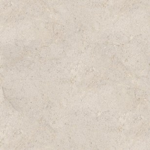 Dorcia Bone L