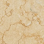 Charme Amber Tozzetto Lap