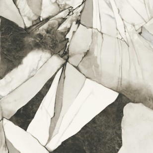 Керамогранит Del Conca Boutique Bloom Shine 120x120 GRBOBLOOMS