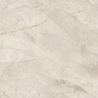 Керамогранит Atlas Concorde Italy Marvel Diva White Everest Velvet 120x120 AX8R