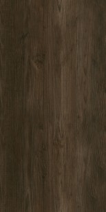 Керамогранит Protiles Albero Brown 60x120 PT12F7042