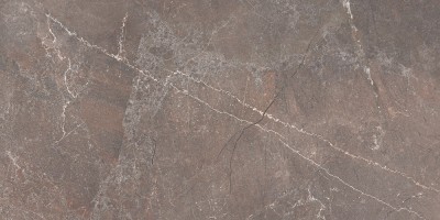 Керамогранит Beryoza Ceramica Лайфстоун Gp Коричневый 30x60