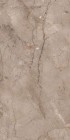 Керамогранит Modern Tile Wild Forest Muka Glossy 60x120