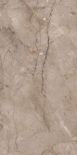 Керамогранит Modern Tile Wild Forest Muka Glossy 60x120
