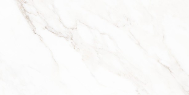 Керамогранит Neodom Classic Marble Calacatta Polished 60x120 N40059