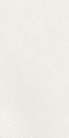 Плитка Ape Ceramica Caprice White Rect 60x120 настенная A042731