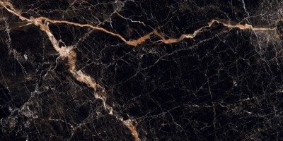 Керамогранит Neodom Marble Cosmic Brown Polished 60x120 N12026 Керамогранит Neodom Marble Cosmic Brown Polished 60x120 N12026