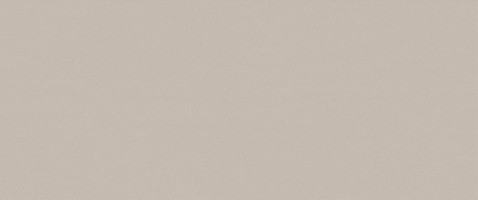 Плитка Fap Ceramiche True Color Fossil 50x120 fTDU