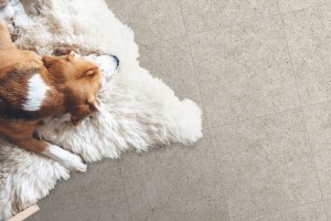 Deimos (Global Tile)
