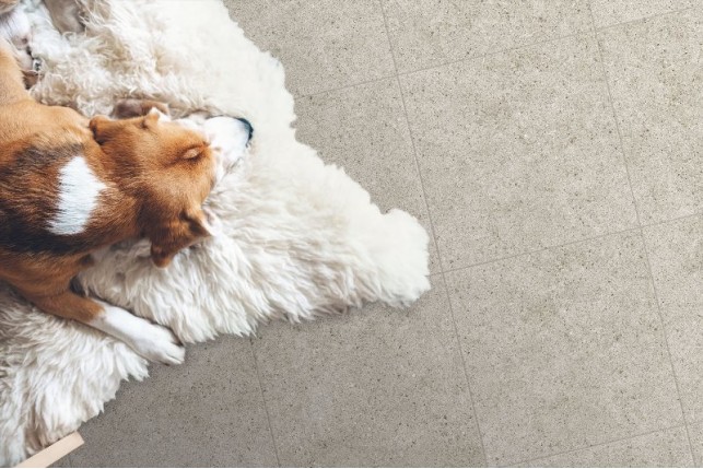 Deimos (Global Tile)