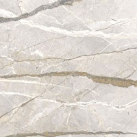 Керамогранит Flaviker Supreme Hedonism Silver Roots Lux 3d Rett 120x120 PF60017236