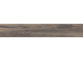 Plank (Realistik)