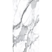 Керамогранит Alpas Cera Premium Marble Visage Grey Plus Polished 60x120
