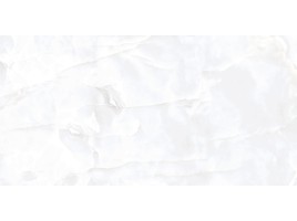 Coin (Realistik)