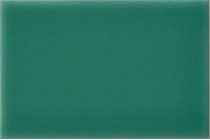 Плитка Adex Riviera Liso Rimini Green 10x15 настенная ADRI1027