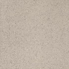 Керамогранит Imola Ceramica Parade Argento 60x60 PRDE RB60AG RM